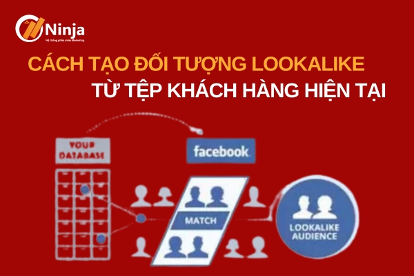 Tìm hiểu tệp lookalike là gì?